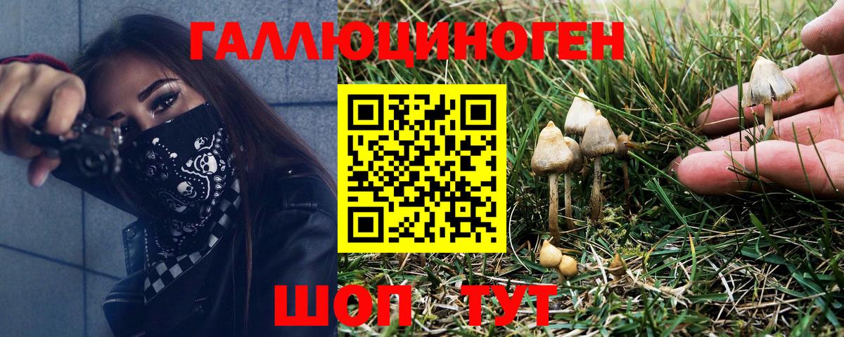 Галлюциногенные грибы GOLDEN TEACHER  Вход с VPN  Мурманск 